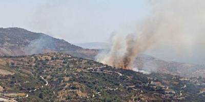 Güneyde 2024 yılında orman yangınlarında küçük bir artış oldu