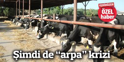 Şimdi de “arpa” krizi
