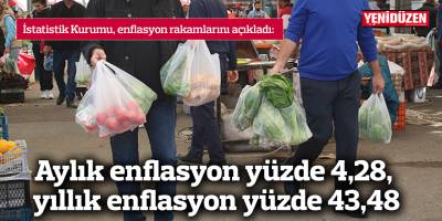 Aylık enflasyon yüzde 4,28, yıllık enflasyon yüzde 43,48