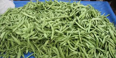 Yerli fasulyede kalıntı saptandı