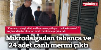 Mikrodalgadan tabanca ve 24 adet canlı mermi çıktı