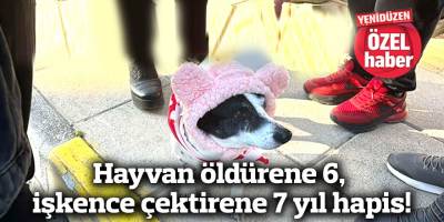 Hayvan öldürene 6, işkence çektirene 7 yıl hapis!