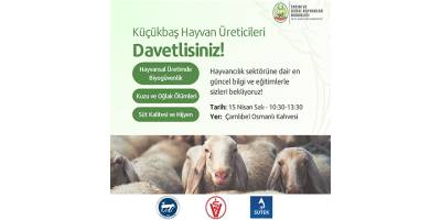 Küçükbaş hayvan üreticilerine yönelik eğitim programı
