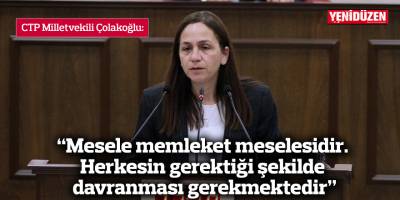 “Mesele memleket meselesidir. Herkesin gerektiği şekilde davranması gerekmektedir”