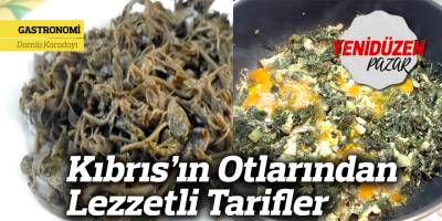 Kıbrıs’ın Otlarından Lezzetli Tarifler