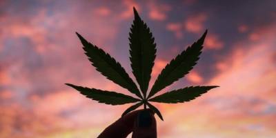 420: Protest bir ‘bayram’