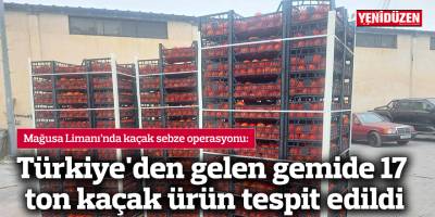 Türkiye'den gelen gemide 17 ton kaçak ürün tespit edildi