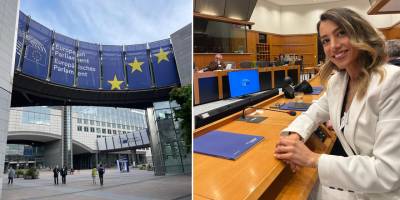 Tabipleri Birliği’nin üyesi olduğu FEMS, ‘Beyaz Kitap’ isimli çalışmasını Avrupa Parlamentosu’nda sundu