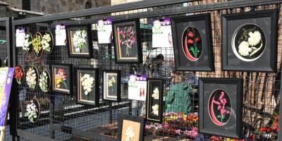 20. Kıbrıs İpek Koza Festivali’nde ilk gün tamamlandı