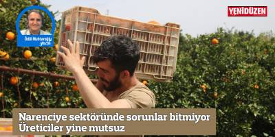 Narenciye sektöründe sorunlar bitmiyor Üreticiler yine mutsuz