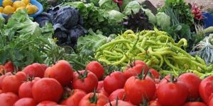 Nihayet: Hormon analizlerine başlandı