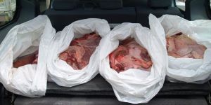 Mağusada 60 kilo sağlıksız ete el konuldu