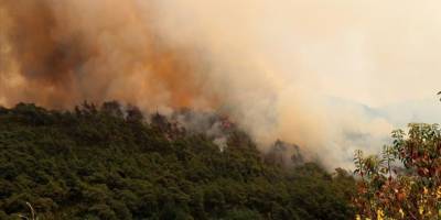 Suriye'nin Bayırbucak bölgesinde çıkan orman yangını sürüyor