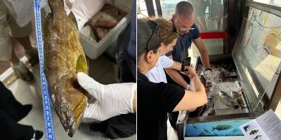 Restoranlara denetim… Tarım Bakanlığı bazı deniz ürünlerine el koydu