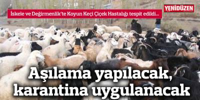Aşılama yapılacak, karantina uygulanacak