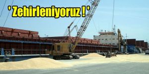 GÜÇ-SEN uyarı grevi yaptı