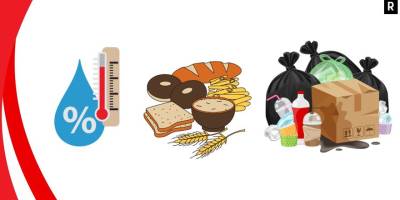 Hamam Böceği Neye Gelir?