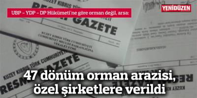 47 dönüm orman arazisi, özel şirketlere verildi