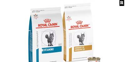 Kediler İçin En Uygun Kedi Maması Nasıl Seçilir?