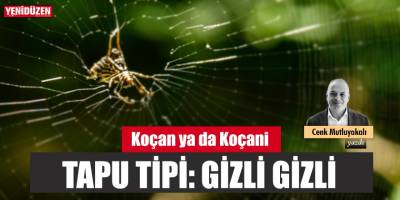 TAPU TİPİ