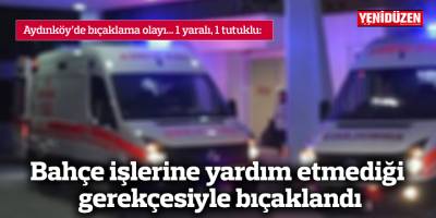 Bahçe işlerine yardım etmediği gerekçesiyle bıçaklandı