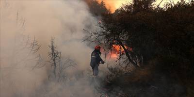 Yunanistan'da üç bölgede orman yangını çıktı