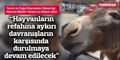 “Hayvanların refahına aykırı davranışların karşısında durulmaya devam edilecek”