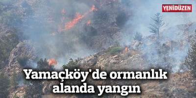 Yamaçköy'de ormanlık alanda yangın