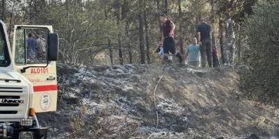 Çamlıköy'de yangın.. 210 çam ağacı yandı