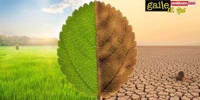 Kıbrıs’ta Barış Mücadelesi ve Çevre-İklim Krizi