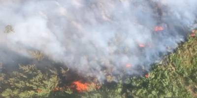 Antalya'da iki bölgede orman yangını: Havadan ve karadan müdahale ediyor