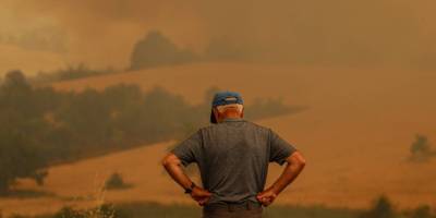 Türkiye'nin dört bir yanında orman yangınları: Ekipler müdahale ediyor