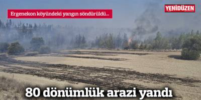 80 dönümlük arazi yandı
