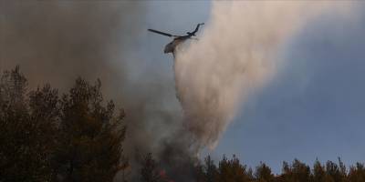 Yunanistan'daki Serez ve Oreokastro'da orman yangını çıktı