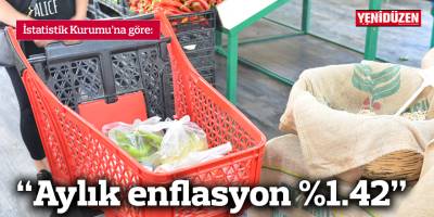 “Aylık enflasyon %1.42”