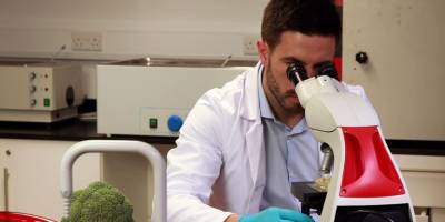 6 üründe kalıntı tespit edildi