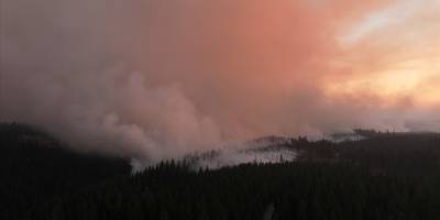 ABD'nin California eyaletinde çıkan yangınlar 29 bin hektardan fazla alana yayıldı