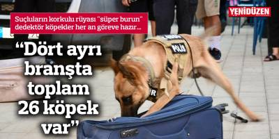 “Dört ayrı branşta toplam 26 köpek var”