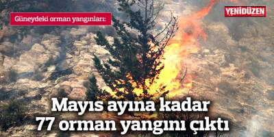 Mayıs ayına kadar 77 orman yangını çıktı