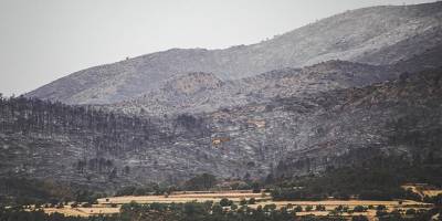 Katalonya'da orman yangınları 18 bin kişinin yaşamını olumsuz etkiledi