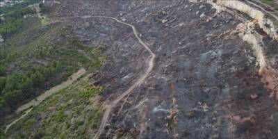 Fransa’da Pennes-Mirabeau’da çıkan yangın nedeniyle 750 hektardan fazla orman yandı