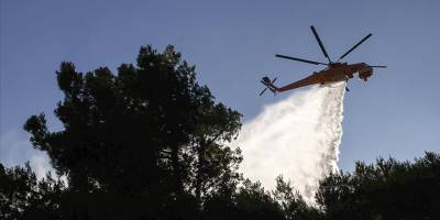 Atina'ya yaklaşık 60 kilometre uzaktaki Oropos'ta orman yangını çıktı