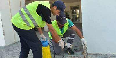 LTB hamamböceği ilaçlama çalışmalarını sürdürüyor