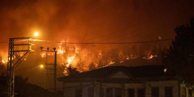 Sakarya ve Bilecik’te orman yangınlarına müdahale ediliyor