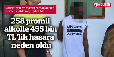 258 promil alkolle 455 bin TL’lik hasara neden oldu