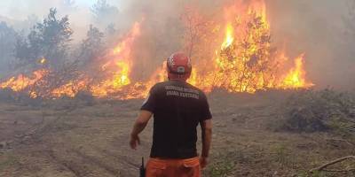 Eskişehir'de 10 orman işçisinin hayatını kaybettiği yangınla ilgili soruşturma başlatıldı
