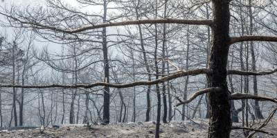 “Yanan, hepimizin yurdudur. Tüm halkımızı, açıklanan yardım kampanyalarına destek olmaya çağırıyoruz”