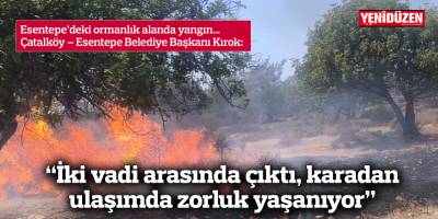“İki vadi arasında çıktı, karadan ulaşımda zorluk yaşanıyor”