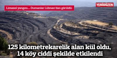 125 kilometrekarelik alan kül oldu, 14 köy ciddi şekilde etkilendi