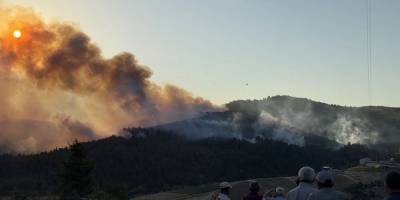 Bursa 'da orman yangını